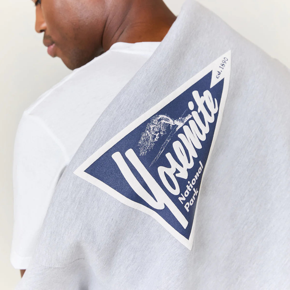 Stance National Parks Crewneck - Heather Grey