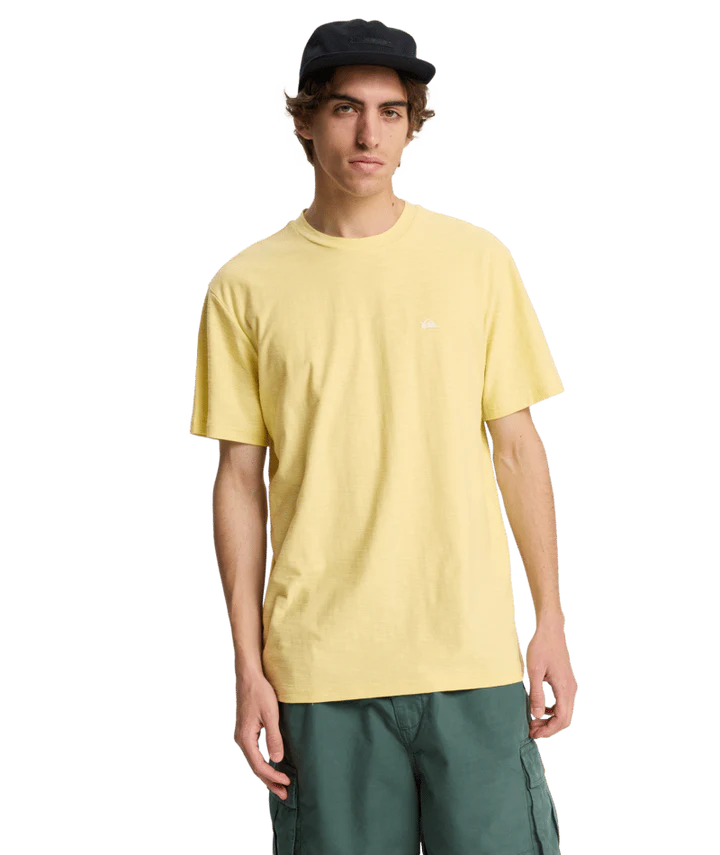 Quiksilver Slub Roundneck T-Shirt - Garden Glade